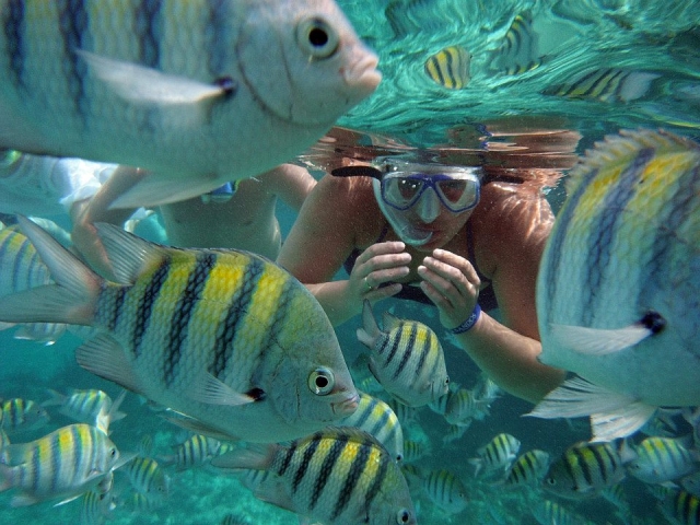 Snorkel en el Caribe